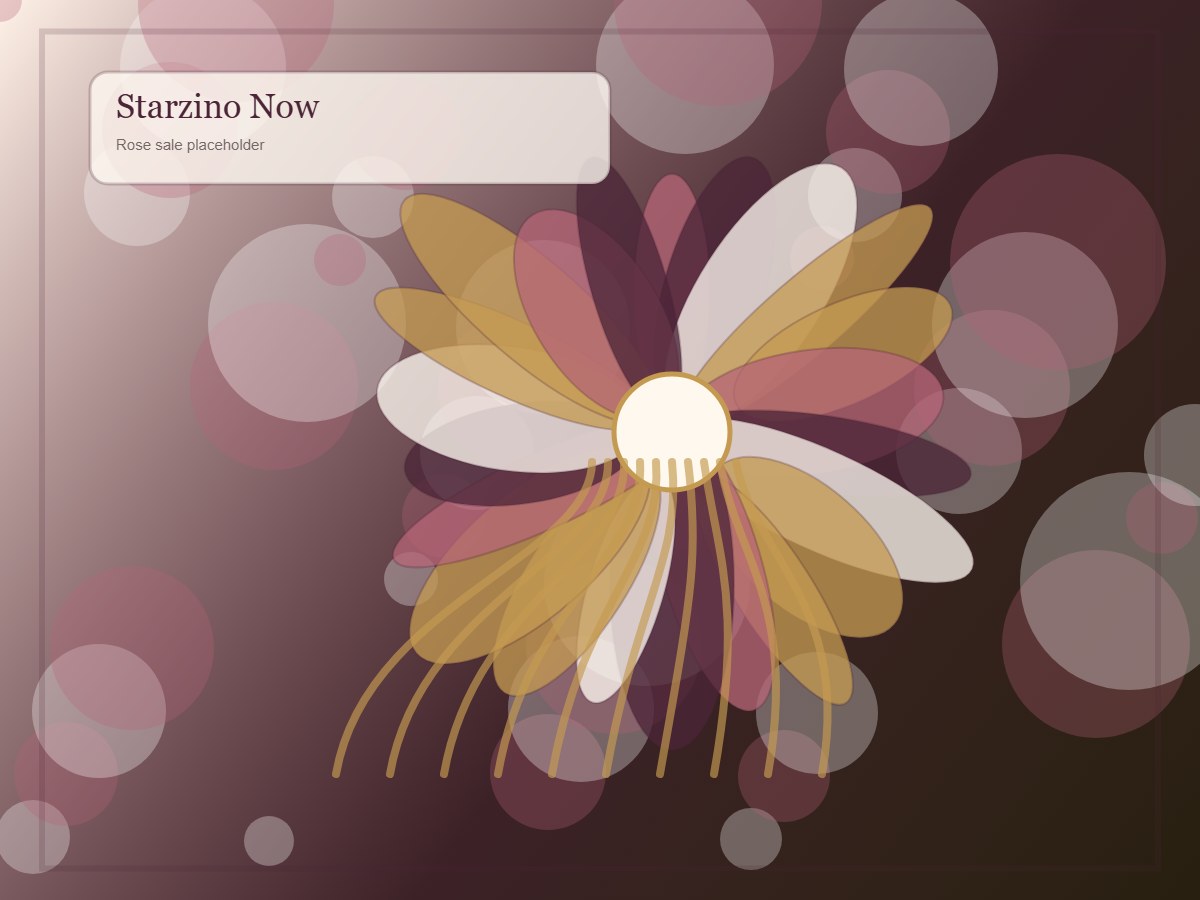 Placeholder voor de Starzino Now weekend sale met rozen